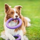 이산동물의료센터 이미지