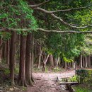 천년 보리밥 이미지