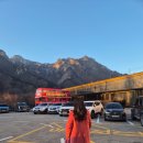 미소숯불닭갈비 | 인제맛집 미소숯불닭갈비 2호점 후기｜자작나무숲·스피디움 근처 숯불닭갈비