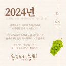 옥희네