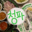 청파사 | (관악) 청파 :: 파마카세 후기｜ 술 곁들이며 소개팅·데이트하기 좋은 샤로수길 맛집 추천