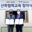 알레스 이미지