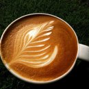 라떼커피 이미지