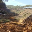 매골농장 이미지