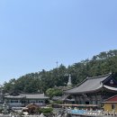 와이컬렉션 by UH FLAT 오시리아 이미지