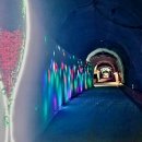 머루와인동굴 화장실 이미지