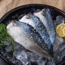 모슬포고등어 이미지