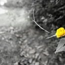 별이야기 이미지