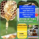 박종갑농장 이미지