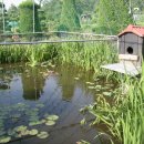 원앙농장 이미지