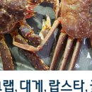 갯마을식당 이미지