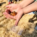 윤희유치원 이미지