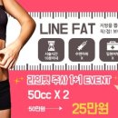 라인앤 이미지