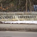 코넬대학교(Cornell University) 이미지