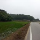 세도면화수리보건진료소 네이버블로그