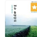 돌담만리