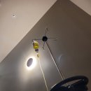 강서연세내과의원 이미지