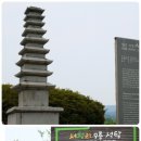 두릉농장 | 칠갑산 천장호 출렁다리 / 산양산삼 맛여행을 찾아 청양으로 떠나요