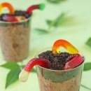 Dirt Pudding Cups With Gummy Worms Recipe-영어캠프 쿠킹 클래스 이미지