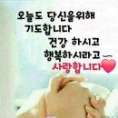 초심이네 이미지