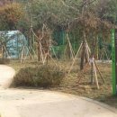 동현학교 이미지