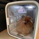 베스트드라이 이미지