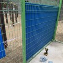 유석초등학교 | 학교 운동장 휀스 벽면보호대 시공-서울 유석초등학교