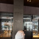 아리아휘트니스 | 웨스틴조선호텔 서울 수영장 아리아 조식, 피트니스 디럭스룸 숙박후기