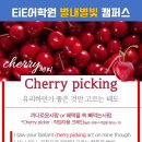 별빛과일 이미지