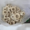 동진유치원 이미지