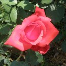 갈전농장 이미지