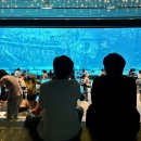 시티피자 이미지