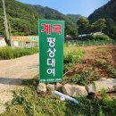 용문산그린펜션