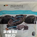 씨솔 | 코스트코 부샤드 밀크 초코 위드 카라멜 시솔트 나폴리테인 솔직 후기ㅣ가족용 대용량 초콜릿