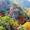 신한아파트 앞 사거리 이미지