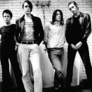 낭만 Dog 이미지