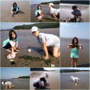 [캠핑] 태안 사목공원 캠핑장 - 어느 가을.. 어느 노을.. (2012. 10. 6 ~ 10. 7)