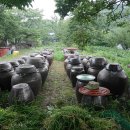 농부네텃밭민박 이미지