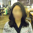 살롱드독 이미지