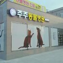 진동물병원 이미지