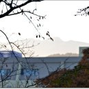 삼무공원 이미지