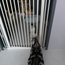 돌체호텔 이미지