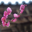 하춘수 대구은행장 현장경영, &#39;이미지&#39;·&#39;고객&#39; 양수겹장 이미지