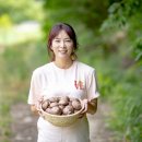 산골버섯 이미지