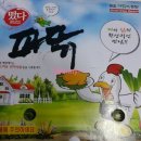 떴다파닭 이미지