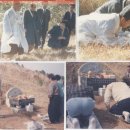 상석제 Daum카페