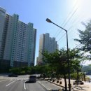동부-전하-전하-13 이미지