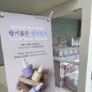슈네일 이미지