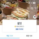 샐잇