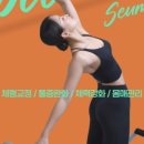 필라테스세움